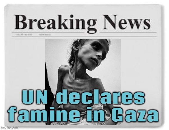 World reacts as UN-backed body declares famine in Gaza | UN declares
famine in Gaza | image tagged in breaking news,genocide,palestine,news,united nations,starvation | made w/ Imgflip meme maker