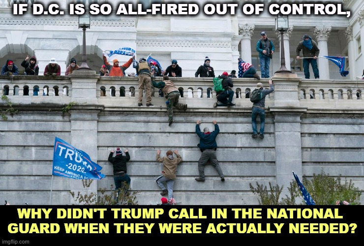 D.C. is a lot safer now than it was on 1/6. 140 cops got hurt. So much for Back the Blue. | IF D.C. IS SO ALL-FIRED OUT OF CONTROL, WHY DIDN'T TRUMP CALL IN THE NATIONAL 
GUARD WHEN THEY WERE ACTUALLY NEEDED? | image tagged in capitol riot by invitation of trump,washington dc,crime,national guard,ice,police | made w/ Imgflip meme maker