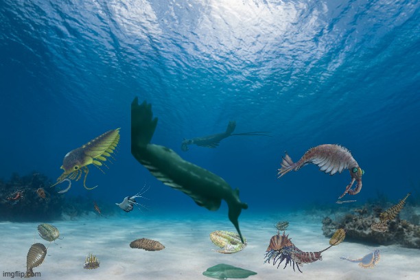 Recreated Cambrian Ocean | image tagged in recreated cambrian ocean | made w/ Imgflip meme maker