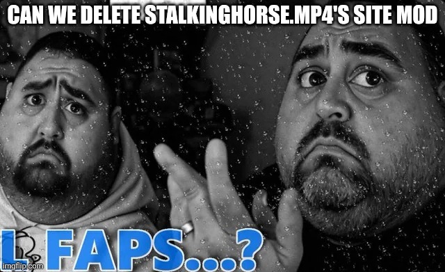 L faps? | CAN WE DELETE STALKINGHORSE.MP4'S SITE MOD | image tagged in l faps | made w/ Imgflip meme maker
