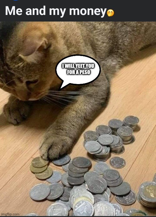 I WILL YEET YOU 
FOR A PESO | image tagged in hitcat | made w/ Imgflip meme maker