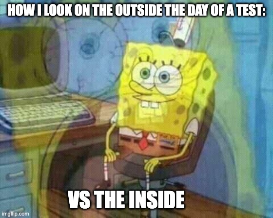 Tests | HOW I LOOK ON THE OUTSIDE THE DAY OF A TEST:; VS THE INSIDE | image tagged in spongebob panic inside | made w/ Imgflip meme maker