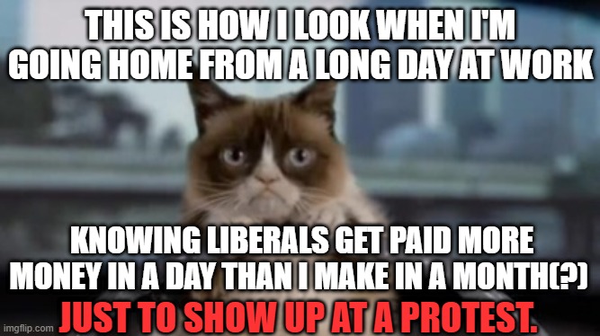 Random thought of the day! | THIS IS HOW I LOOK WHEN I'M GOING HOME FROM A LONG DAY AT WORK; KNOWING LIBERALS GET PAID MORE MONEY IN A DAY THAN I MAKE IN A MONTH(?); JUST TO SHOW UP AT A PROTEST. | image tagged in grumpy cat driving,memes,liberals,funny,work | made w/ Imgflip meme maker