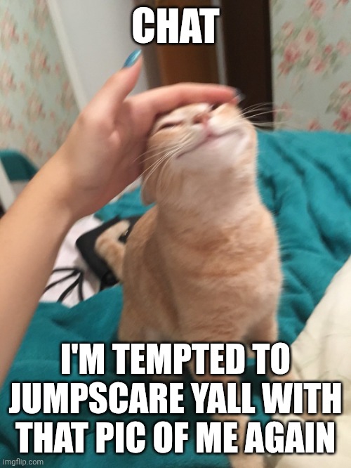 But am I wanting to be called humpty dumpty is the question- | CHAT; I'M TEMPTED TO JUMPSCARE YALL WITH THAT PIC OF ME AGAIN | image tagged in cat pat | made w/ Imgflip meme maker