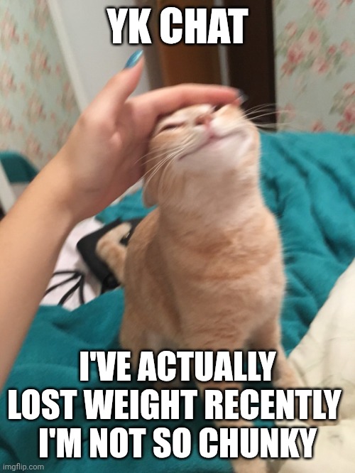 Still look like humpty dumpty tho | YK CHAT; I'VE ACTUALLY LOST WEIGHT RECENTLY 
I'M NOT SO CHUNKY | image tagged in cat pat | made w/ Imgflip meme maker
