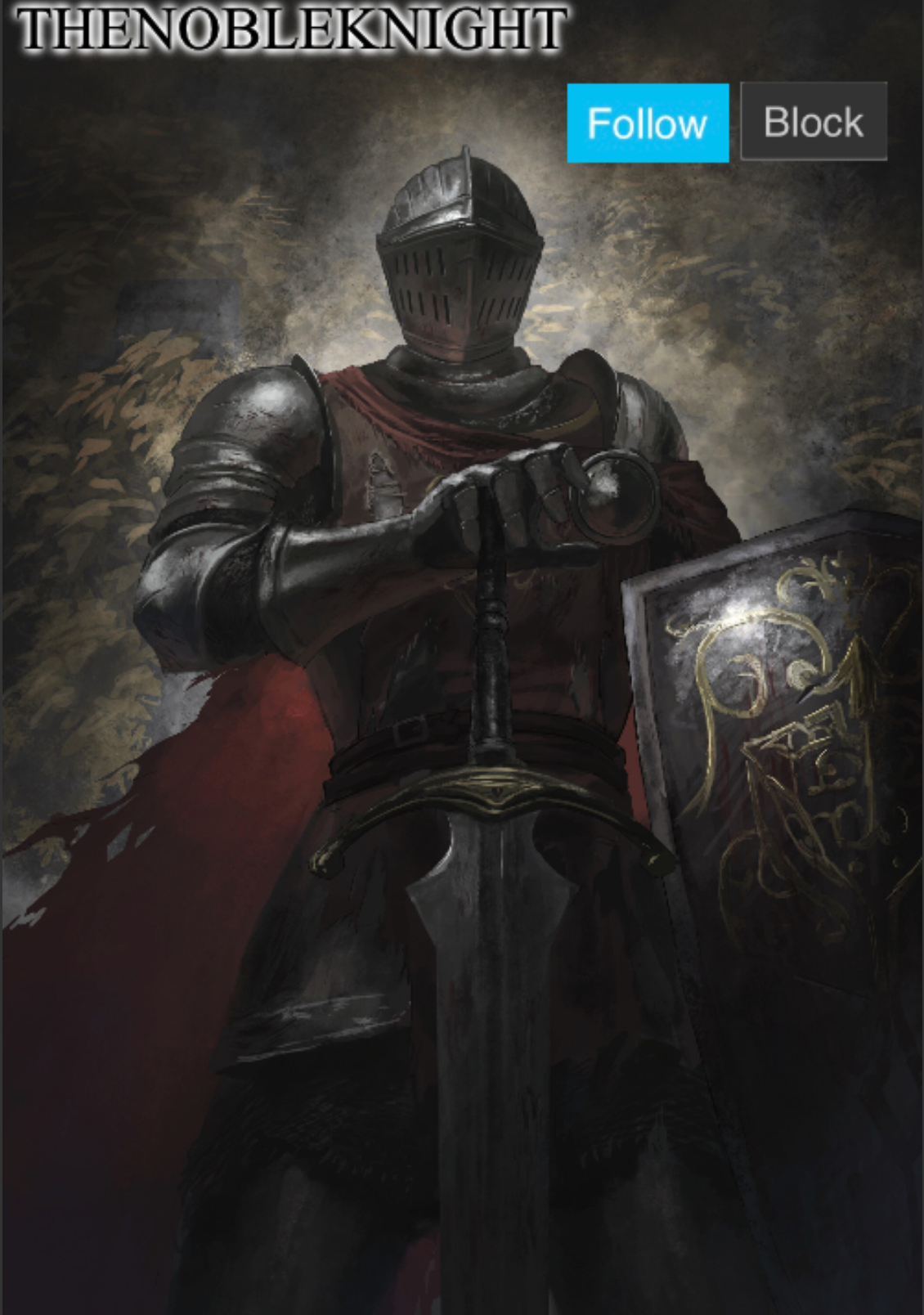 TheNobleKnight announcement template Blank Meme Template