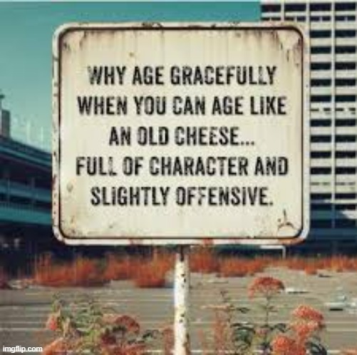 Now you can age like an old cheese.   ---   funny   sign   --- | image tagged in funny,sign,funny sign,play on words,humor,cheese | made w/ Imgflip meme maker