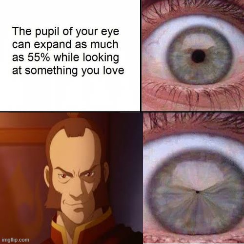 Eye Pupil (Shrinking) Template | image tagged in eye pupil shrinking template | made w/ Imgflip meme maker