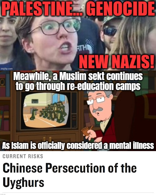 The past few years. The most Nazi thing I've heard about since the real thing. It's not about Palestine... It's about Hamas | Meawhile, a Muslim sekt continues to go through re-education camps; As Islam is officially considered a mental illness | image tagged in palestine,triggered liberal | made w/ Imgflip meme maker