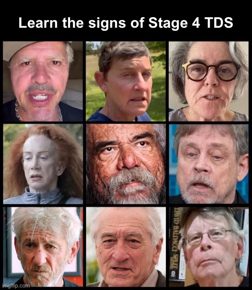 Consult your doctor if you have symptoms lasting more than four years | Learn the signs of Stage 4 TDS | image tagged in tds | made w/ Imgflip meme maker