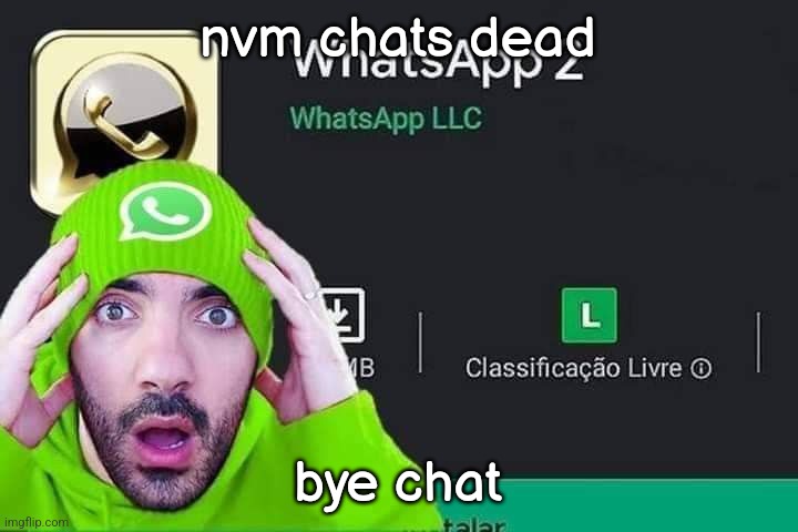 WhatsApp 2 | nvm chats dead; bye chat | image tagged in whatsapp 2 | made w/ Imgflip meme maker