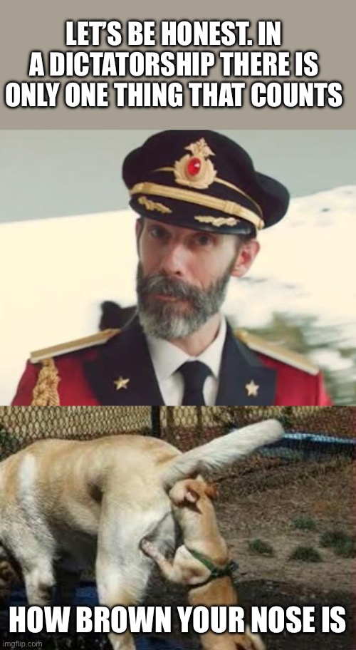 LET’S BE HONEST. IN A DICTATORSHIP THERE IS ONLY ONE THING THAT COUNTS HOW BROWN YOUR NOSE IS | image tagged in captain obvious,brown noser | made w/ Imgflip meme maker
