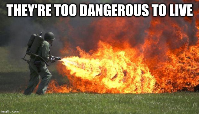 flamethrower | THEY'RE TOO DANGEROUS TO LIVE | image tagged in flamethrower | made w/ Imgflip meme maker