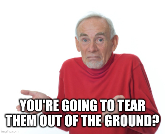 Guess I'll die  | YOU'RE GOING TO TEAR THEM OUT OF THE GROUND? | image tagged in guess i'll die | made w/ Imgflip meme maker
