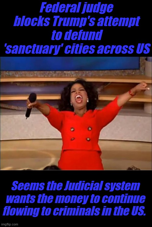 Reminds me of the part US aid was playing in money laundering to criminal NGO's | Federal judge blocks Trump's attempt to defund 'sanctuary' cities across US; Seems the Judicial system wants the money to continue flowing to criminals in the US. | image tagged in memes,oprah you get a | made w/ Imgflip meme maker