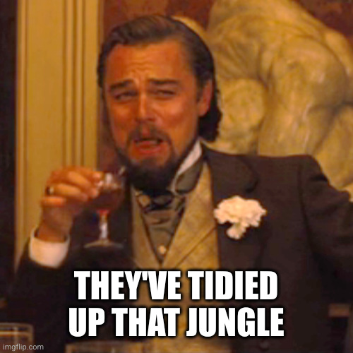 Laughing Leo Meme | THEY'VE TIDIED UP THAT JUNGLE | image tagged in memes,laughing leo | made w/ Imgflip meme maker