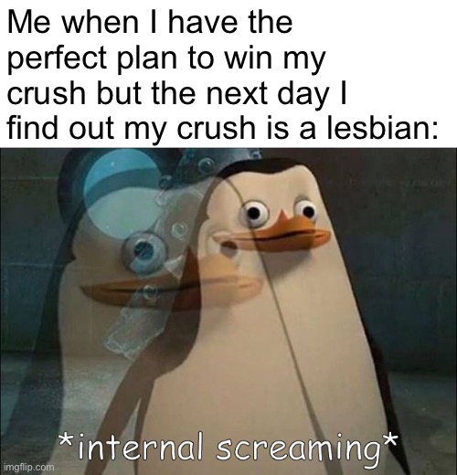 *internal screaming* | Me when I have the perfect plan to win my crush but the next day I find out my crush is a lesbian: | image tagged in private internal screaming,lesbian,crush,school,memes | made w/ Imgflip meme maker