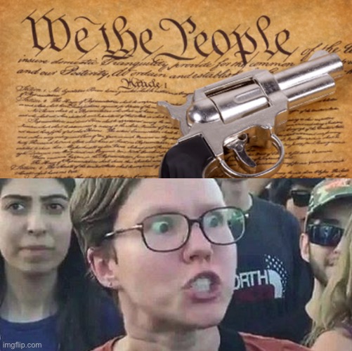 Liberal gets triggered over gun rights | image tagged in 2nd amendment,triggered liberal,cringe,lol | made w/ Imgflip meme maker