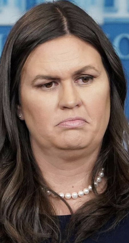 pig shit with a wig Blank Meme Template