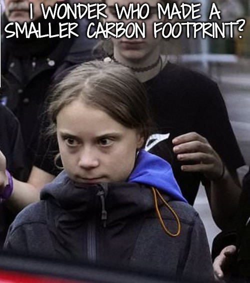 gretta | I WONDER WHO MADE A SMALLER CARBON FOOTPRINT? | image tagged in gretta | made w/ Imgflip meme maker