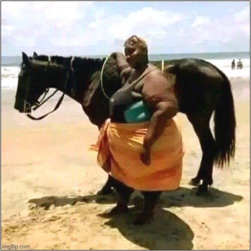 What Advice Would You Give This Horse ? | image tagged in horse,advice,obese,dark humour | made w/ Imgflip meme maker