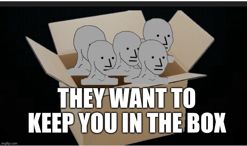 Normie | THEY WANT TO KEEP YOU IN THE BOX | image tagged in memes | made w/ Imgflip meme maker