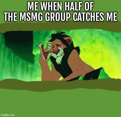 There onto me | ME WHEN HALF OF THE MSMG GROUP CATCHES ME | image tagged in i'm surrounded by idiots | made w/ Imgflip meme maker