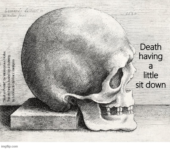 Yeh | Death having a little sit down; "Skull in Profile" by Wenceslaus Hollar.
This etching is based on a drawing
by Leonardo da Vinci: minkpen | image tagged in artmemes,death,skull,skeleton | made w/ Imgflip meme maker