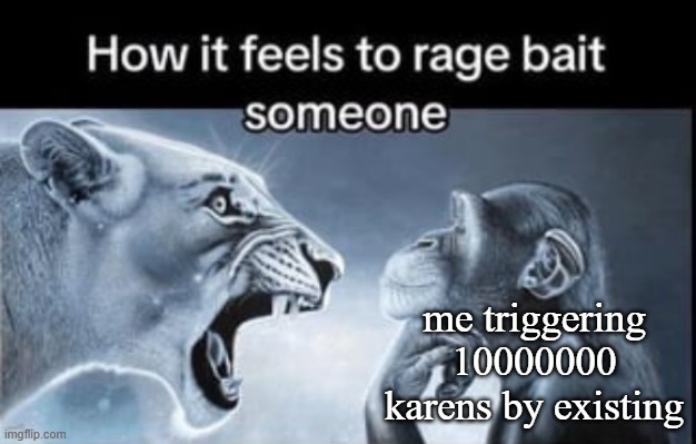 How it feels to rage bait someone | me triggering 10000000 karens by existing | image tagged in how it feels to rage bait someone | made w/ Imgflip meme maker
