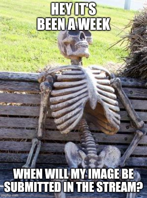 Waiting Skeleton | HEY IT'S BEEN A WEEK; WHEN WILL MY IMAGE BE SUBMITTED IN THE STREAM? | image tagged in memes,waiting skeleton,imgflip,stream,moderators,submission | made w/ Imgflip meme maker