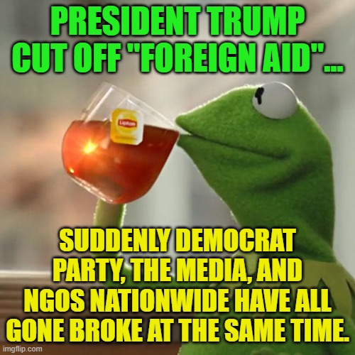 But That's None Of My Business | PRESIDENT TRUMP CUT OFF "FOREIGN AID"... SUDDENLY DEMOCRAT PARTY, THE MEDIA, AND NGOS NATIONWIDE HAVE ALL GONE BROKE AT THE SAME TIME. | image tagged in memes,but that's none of my business,kermit the frog | made w/ Imgflip meme maker