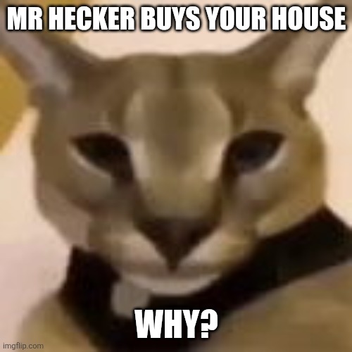 Me ask question , me confused | MR HECKER BUYS YOUR HOUSE; WHY? | image tagged in hecker | made w/ Imgflip meme maker