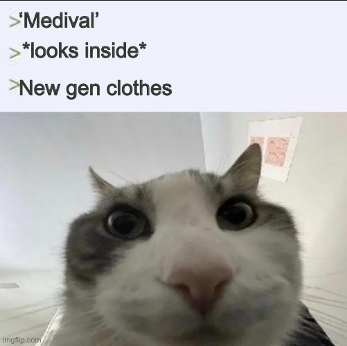 Cat looks inside | ‘Medival’ *looks inside* New gen clothes | image tagged in cat looks inside | made w/ Imgflip meme maker