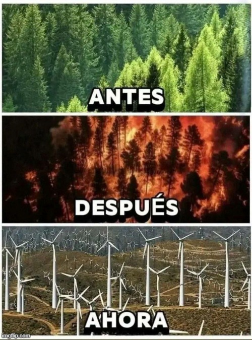 a3xefx.jpg