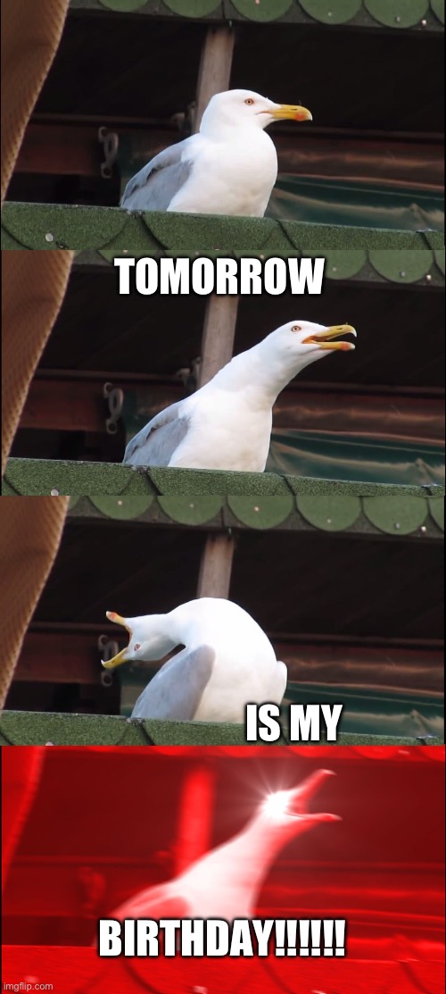 Yep, true for me. | TOMORROW; IS MY; BIRTHDAY!!!!!! | image tagged in memes,inhaling seagull,birthday,happy birthday | made w/ Imgflip meme maker