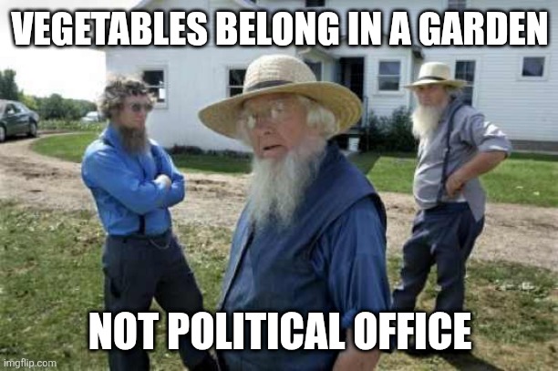 Amish Men | VEGETABLES BELONG IN A GARDEN NOT POLITICAL OFFICE | image tagged in amish men | made w/ Imgflip meme maker