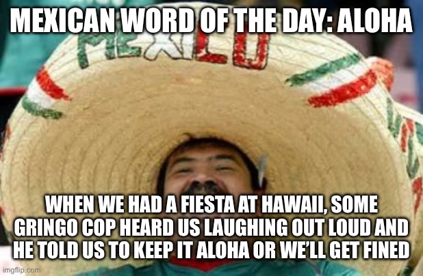 Mexican word of the day | MEXICAN WORD OF THE DAY: ALOHA; WHEN WE HAD A FIESTA AT HAWAII, SOME GRINGO COP HEARD US LAUGHING OUT LOUD AND HE TOLD US TO KEEP IT ALOHA OR WE’LL GET FINED | image tagged in hawaii,mexican word of the day,funny,jokes,lol,hilarious memes | made w/ Imgflip meme maker