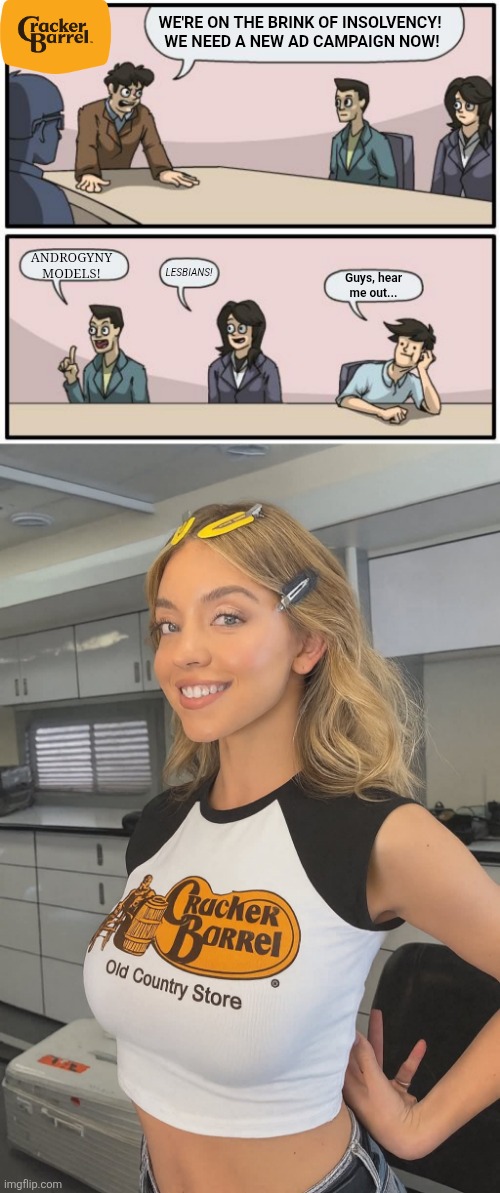 high caliber ad campaign | WE'RE ON THE BRINK OF INSOLVENCY!  WE NEED A NEW AD CAMPAIGN NOW! ANDROGYNY MODELS! LESBIANS! Guys, hear me out... | image tagged in boardroom suggestion,sydney sweeney | made w/ Imgflip meme maker