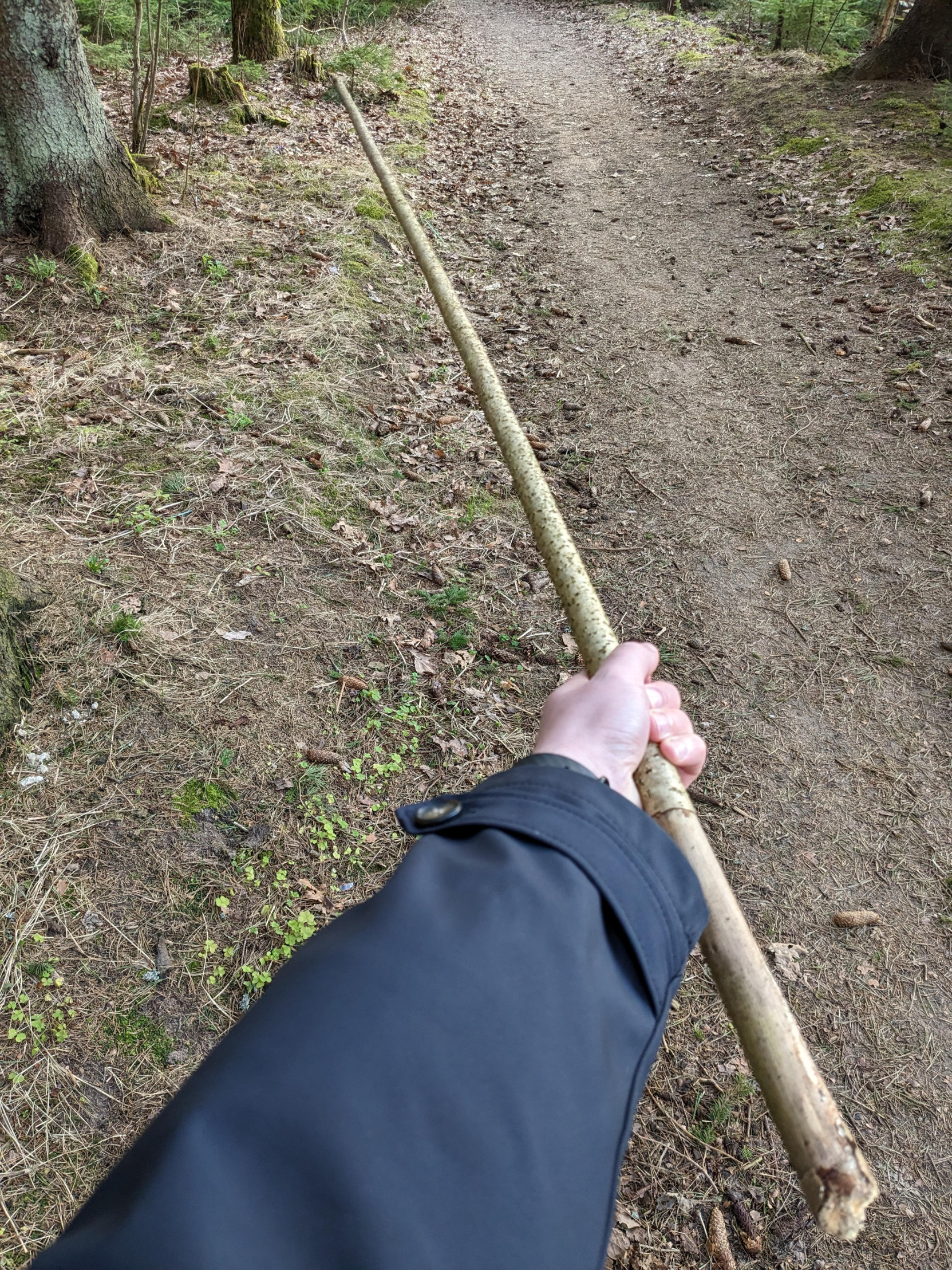 Great stick Blank Meme Template