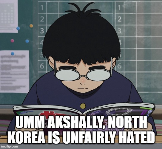 okran | UMM AKSHALLY, NORTH KOREA IS UNFAIRLY HATED | image tagged in okran | made w/ Imgflip meme maker