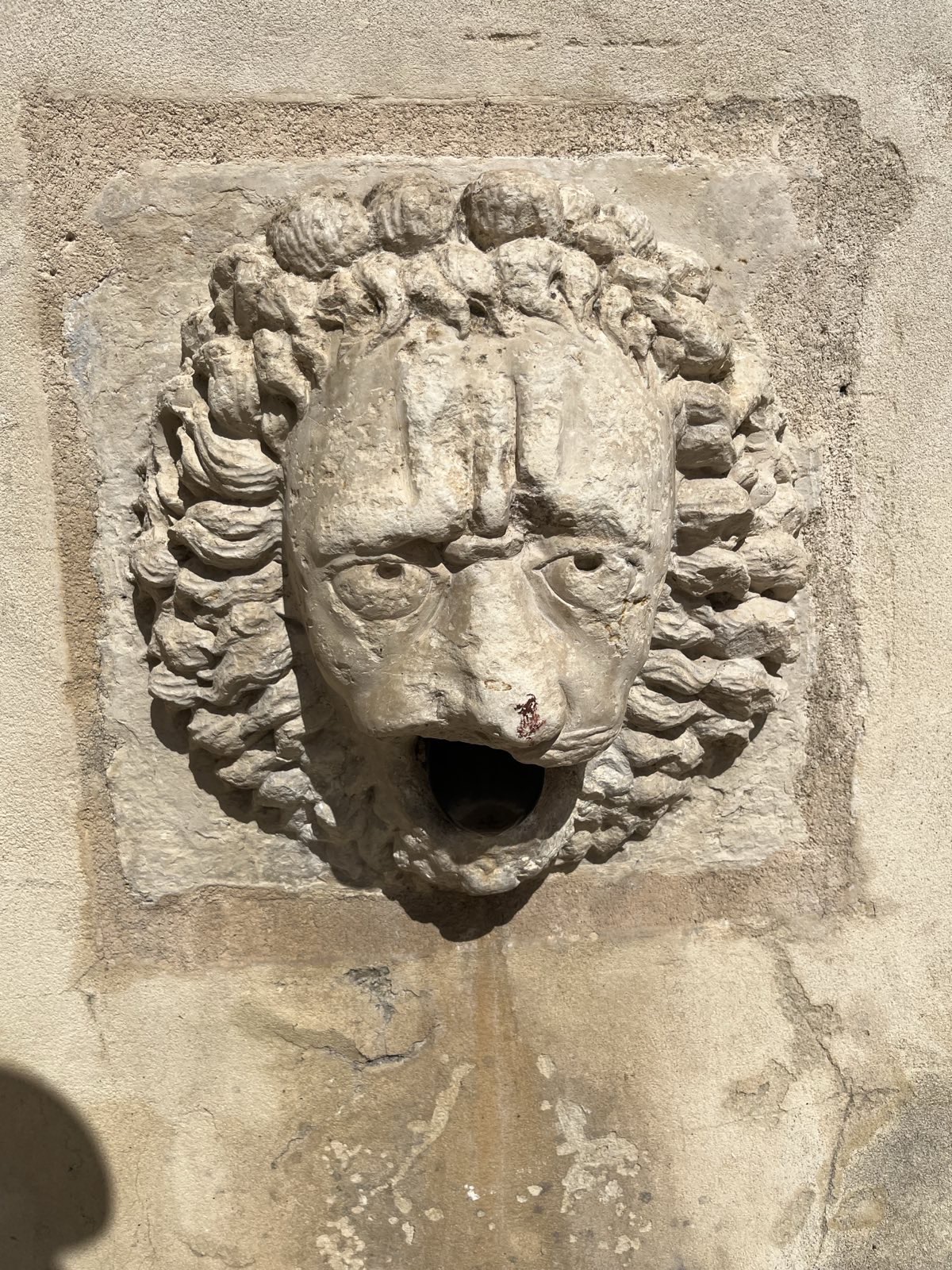 Pain lion Blank Meme Template
