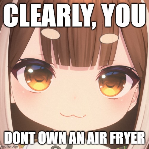pengpeng airfryer | CLEARLY, YOU; DONT OWN AN AIR FRYER | image tagged in pengpeng,azur promilia | made w/ Imgflip meme maker