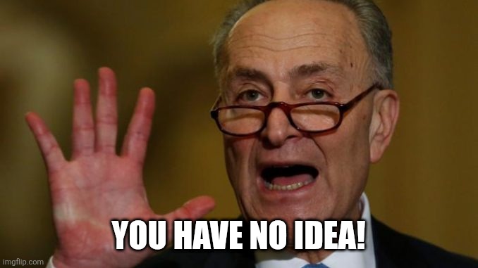Chuck Schumer | YOU HAVE NO IDEA! | image tagged in chuck schumer | made w/ Imgflip meme maker