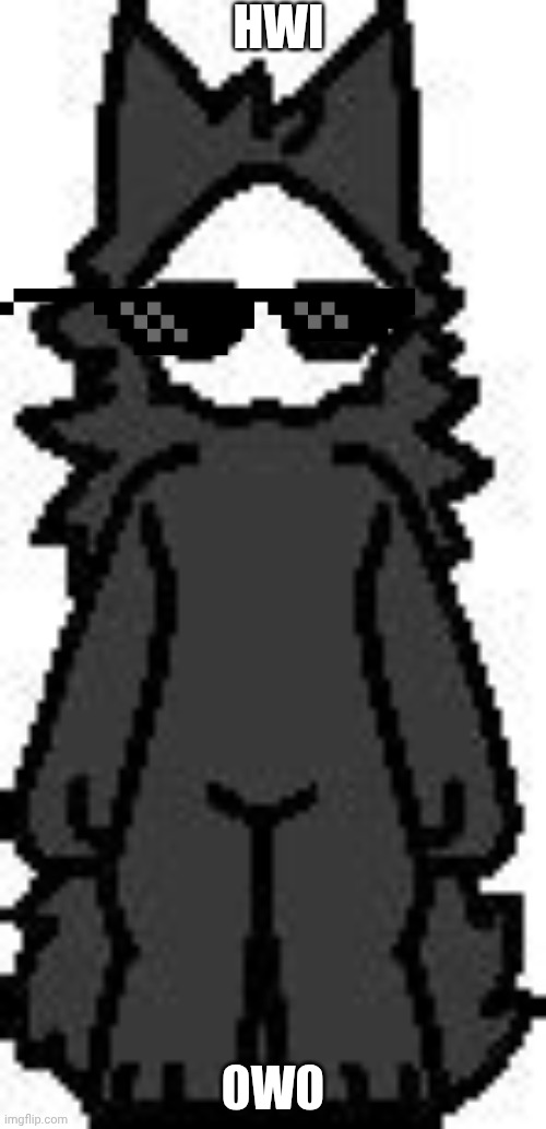 puro | HWI; 0W0 | image tagged in puro,owo | made w/ Imgflip meme maker