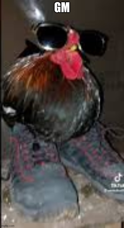 Drip chicken | GM | image tagged in drip chicken | made w/ Imgflip meme maker