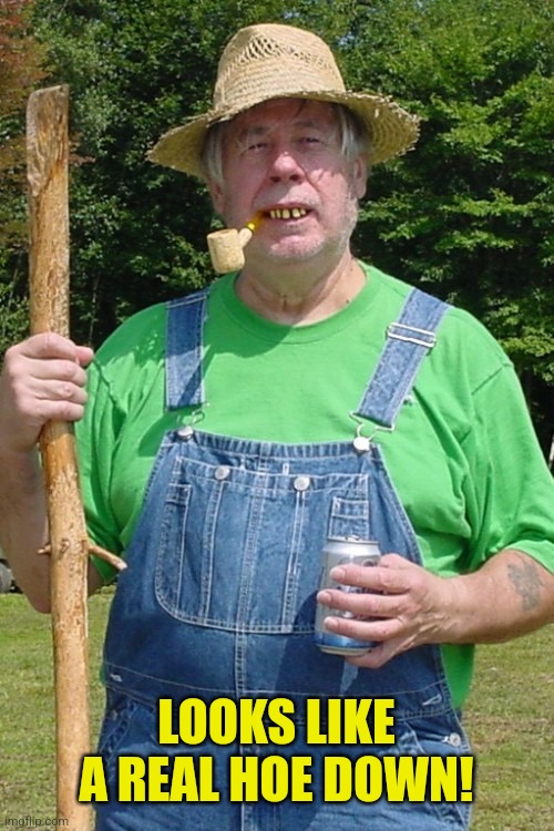 Redneck farmer | LOOKS LIKE A REAL HOE DOWN! | image tagged in redneck farmer | made w/ Imgflip meme maker