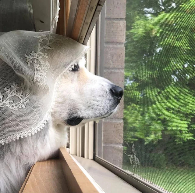 When will my X return from Y Blank Meme Template