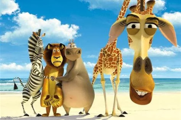 Why are you white | image tagged in why are you white | made w/ Imgflip meme maker