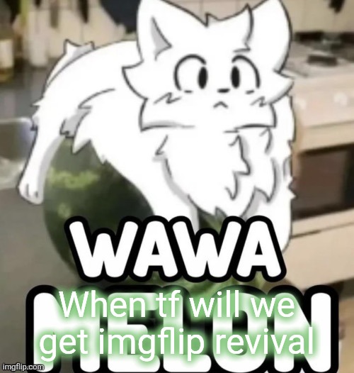 The Wawa Melon | When tf will we get imgflip revival | image tagged in the wawa melon | made w/ Imgflip meme maker