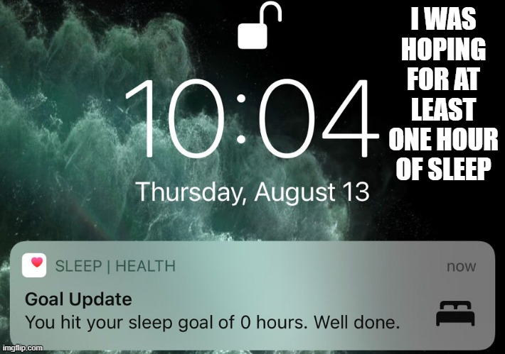 My sleep app says that I made my goal with 0 hours sleep last night. | I WAS HOPING FOR AT LEAST ONE HOUR OF SLEEP | image tagged in games,computer,apps,sleeping,funny,humor | made w/ Imgflip meme maker